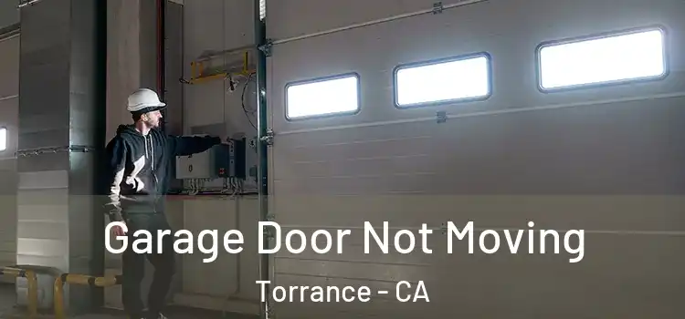  Garage Door Not Moving Torrance - CA