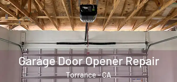  Garage Door Opener Repair Torrance - CA