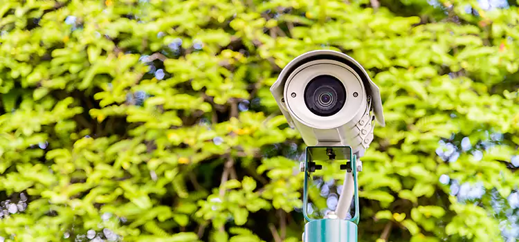 Advanced Surveillance Solutions for Every Need in Torrance
