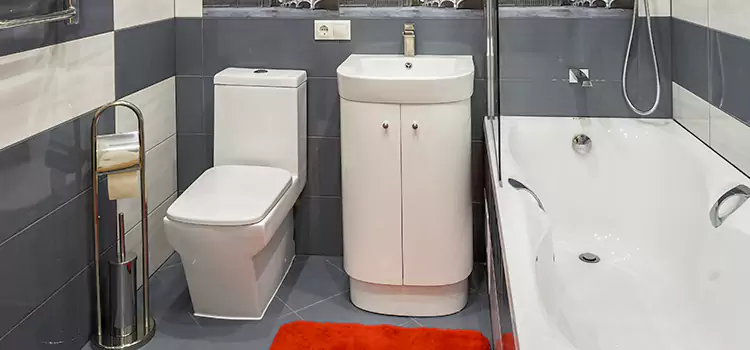 Hansgrohe Shaving Mirror Torrance